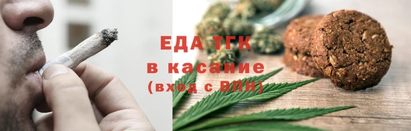 гашик Карпинск