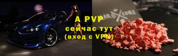 гашик Карпинск