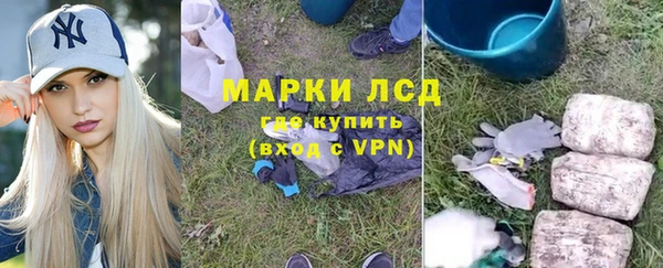 гашик Карпинск