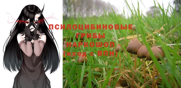 гашик Карпинск
