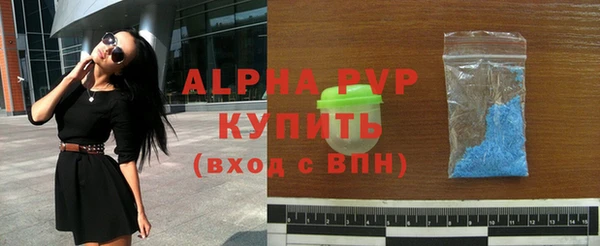 гашик Карпинск