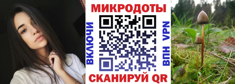 Галлюциногенные грибы прущие грибы  Купить закладки  Рудня 